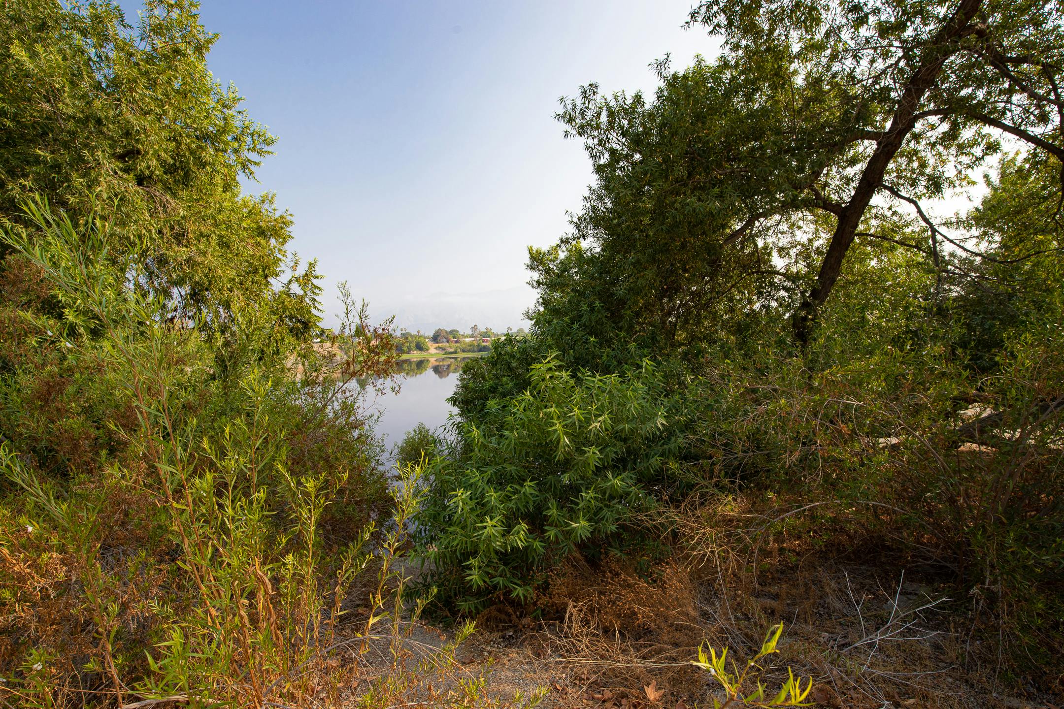 Visiting Peck Road Water Conservation Park