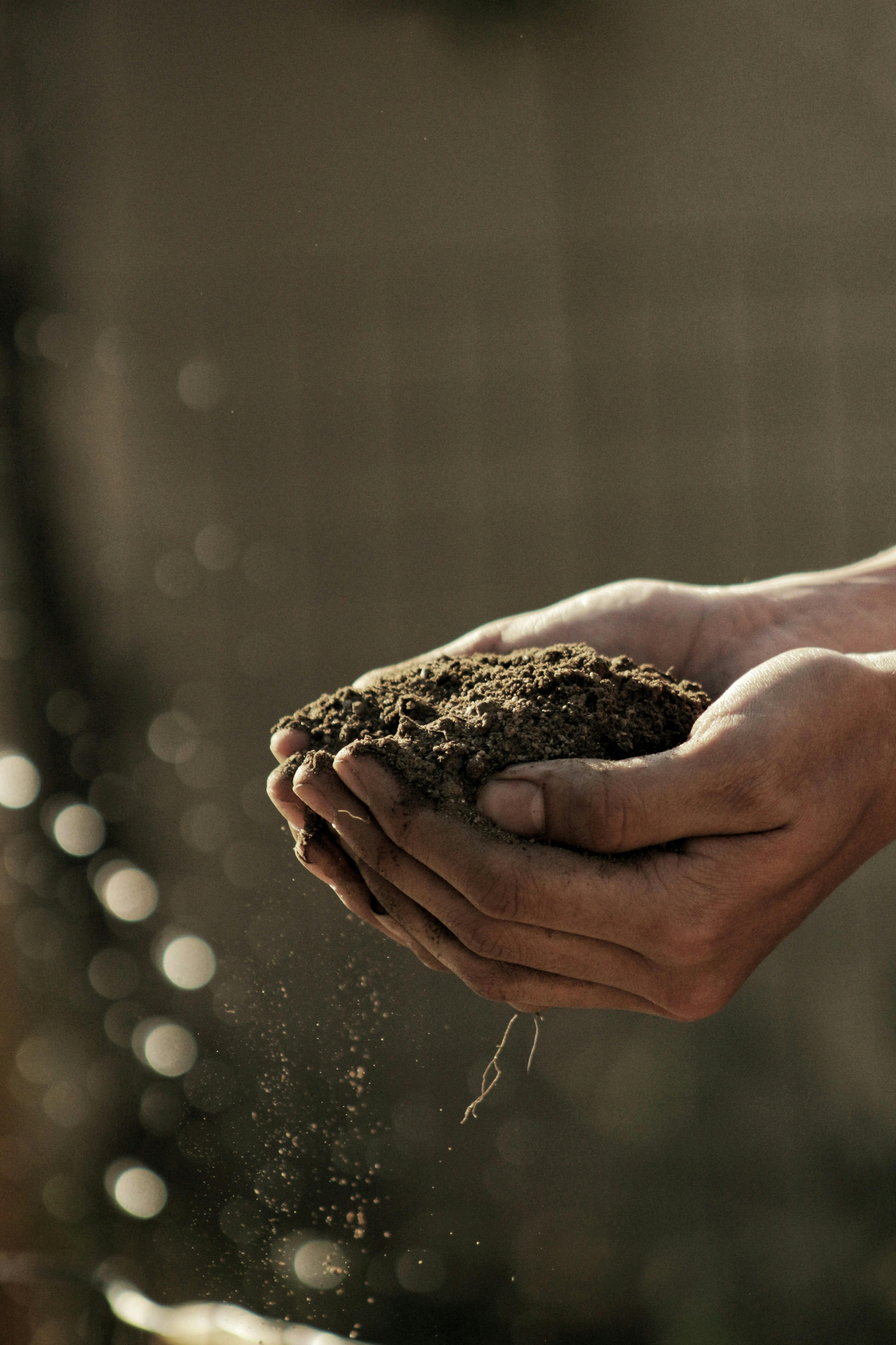 Holding soil